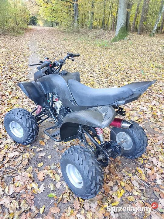 Quad Bashan 125