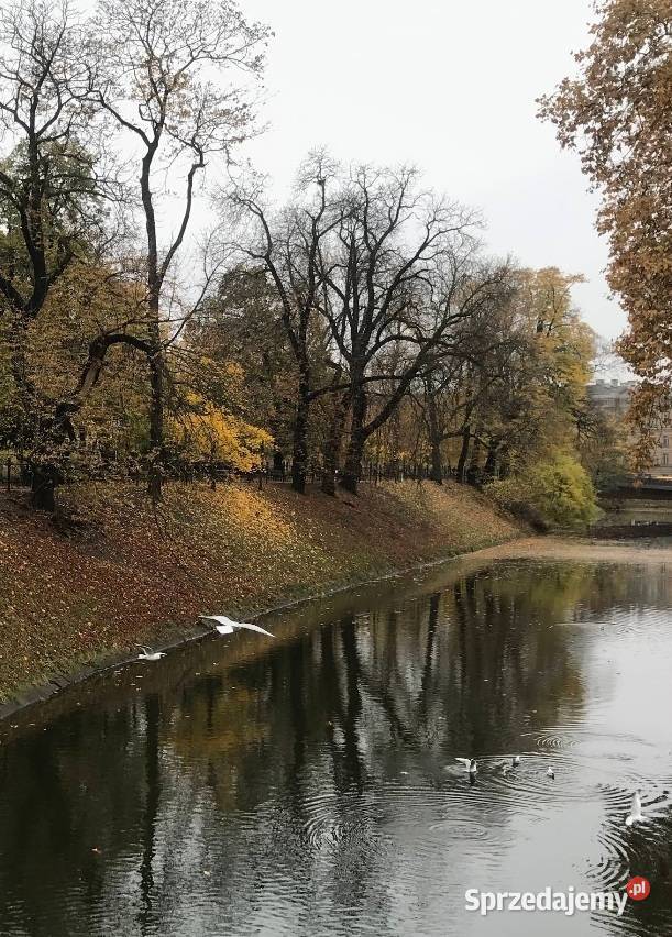 2pok 58met Podwale PIWNICA Wrocław