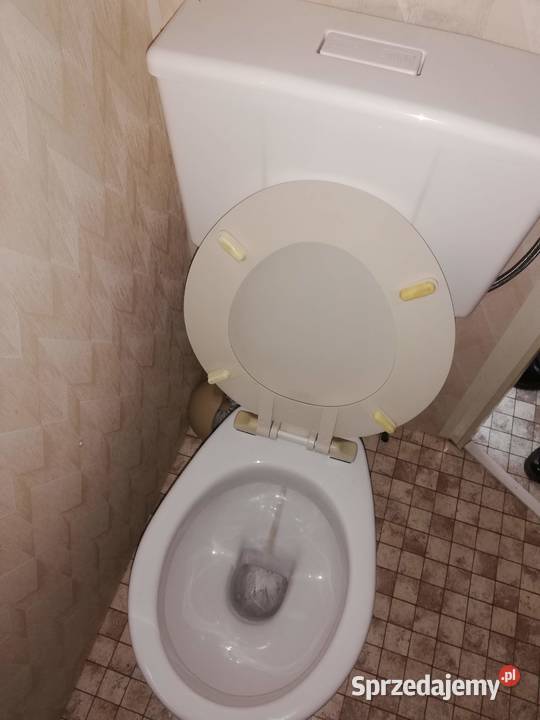 Domek holenderskiangielski zadbany Pisz