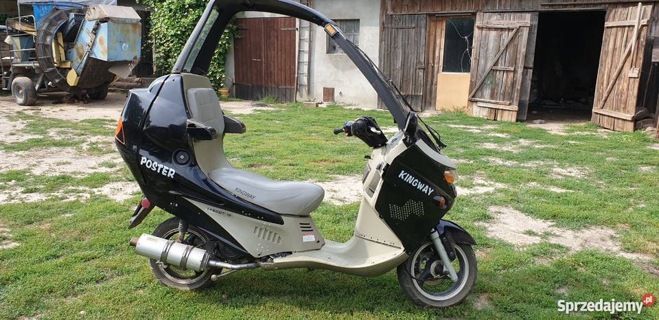 Kingway Poster Cienia