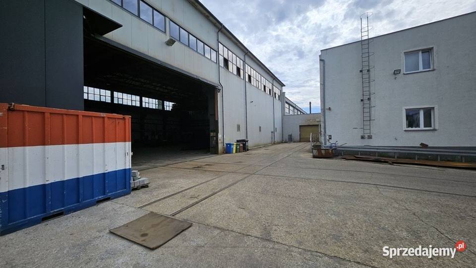 Syndyk sprzeda przedsiębiorstwo Firma GOTOWSKI Bydgoszcz