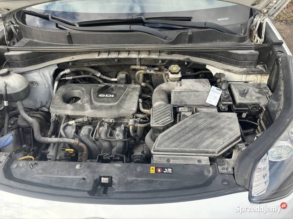 Kia Sportage 16 benzyna 91000 manualna