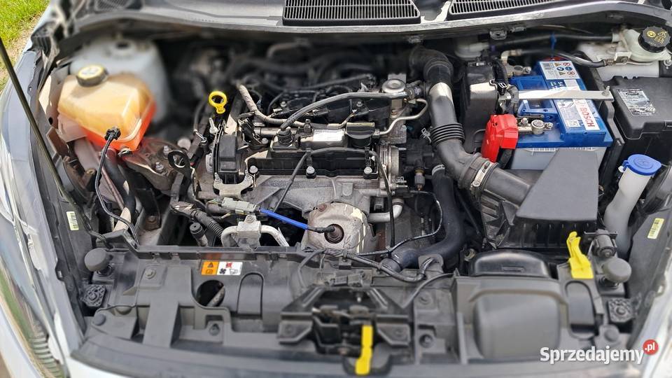 Ford Fiesta VI mk7 lift 2014r Świdwin