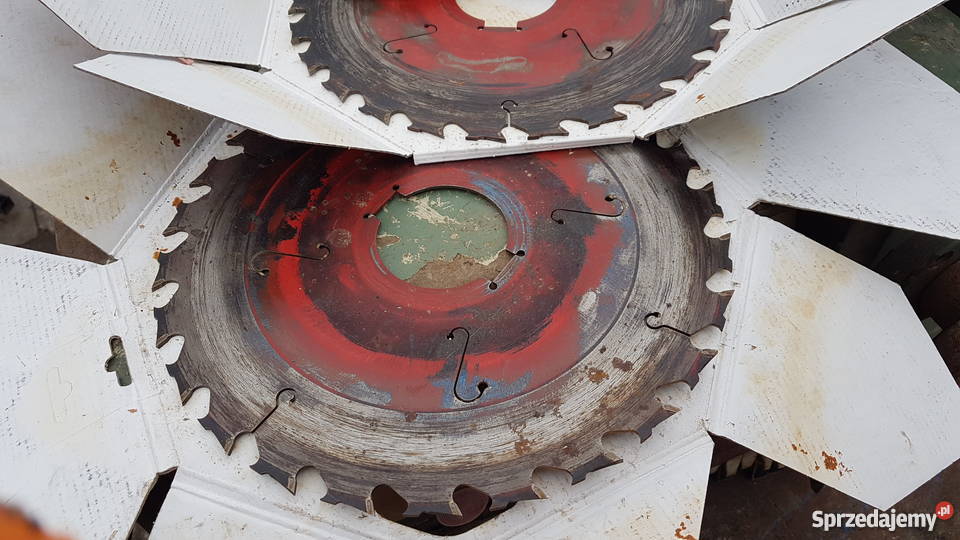 tarcza piła do wielopiły