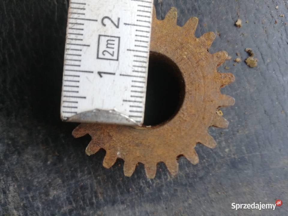 Koła zębate Dąbie