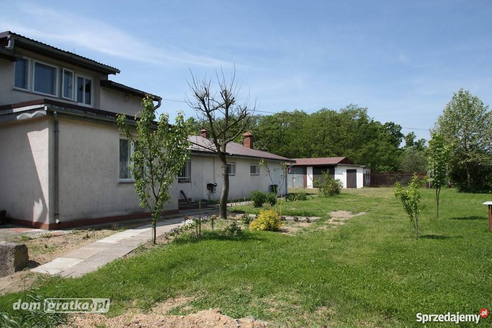 Dom Aleksandrów Łódzki Daszyńskiego Domy łódzkie