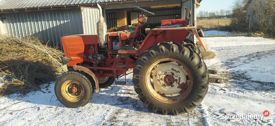 Wladimirec T25 revers lubelskie Brzeźnica Leśna