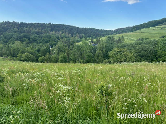 Działka budowlana Baligród na sprzedaż sprzedam