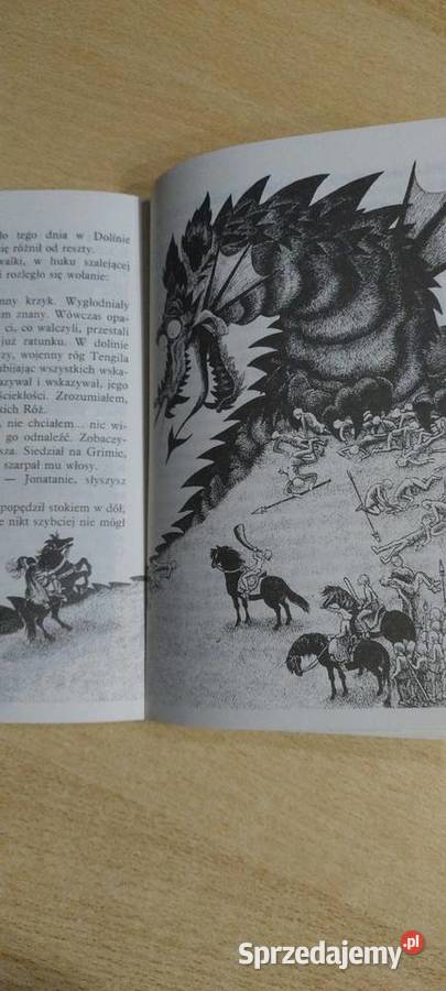 Bracia Lwie Serce Lublin sprzedam