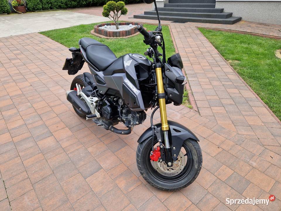 Honda MSX 125SF na kategorię B 10 Pierwsza sprzedam