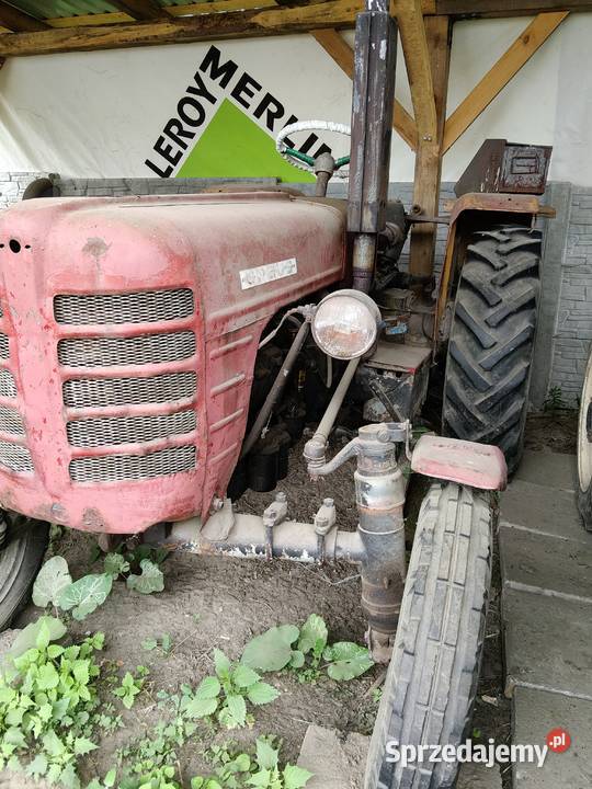 Ciągnik Zetor Ursus 4011 Majdan Sieniawski