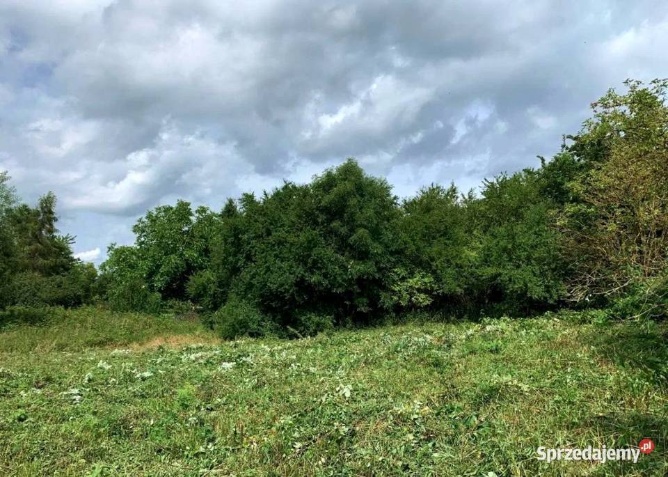 Działka budowlana Godzisław sprzedam