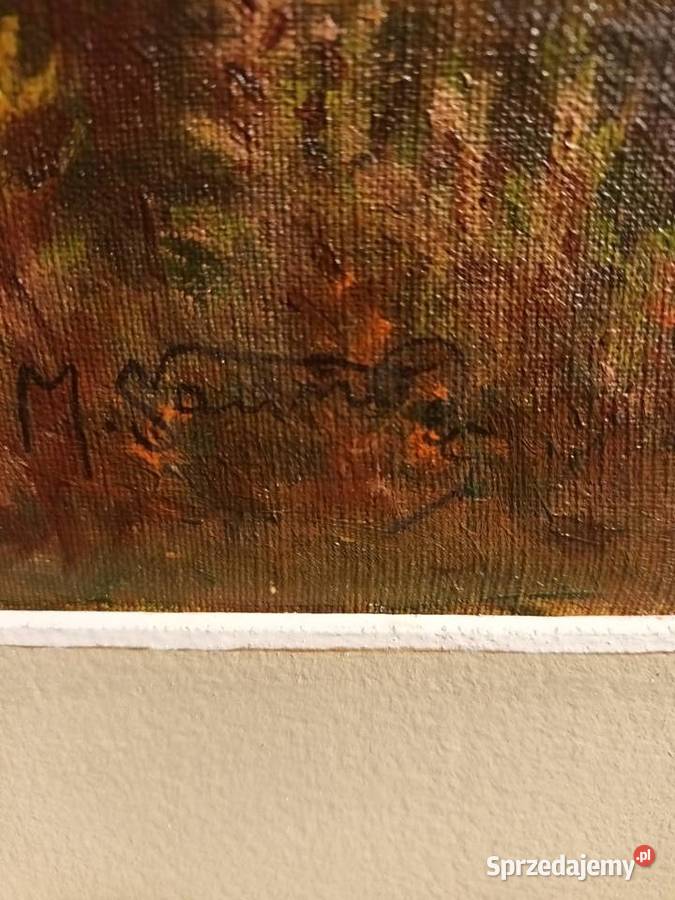 Pejzaż pogórze Sądeckiego Bielsko-Biała