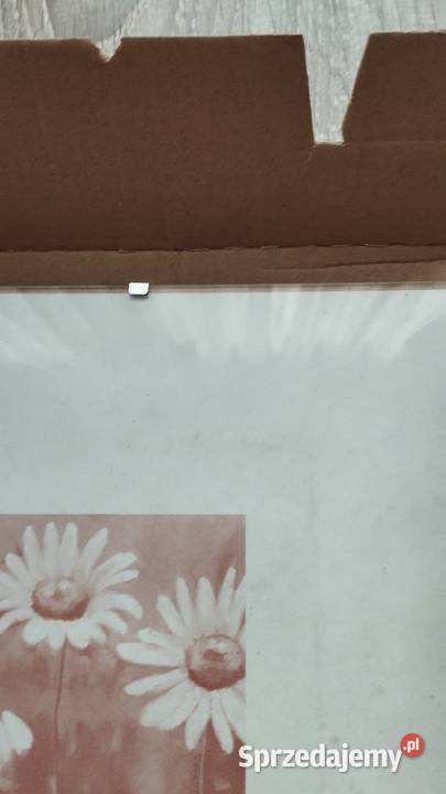 antyrama wielkopolskie sprzedam