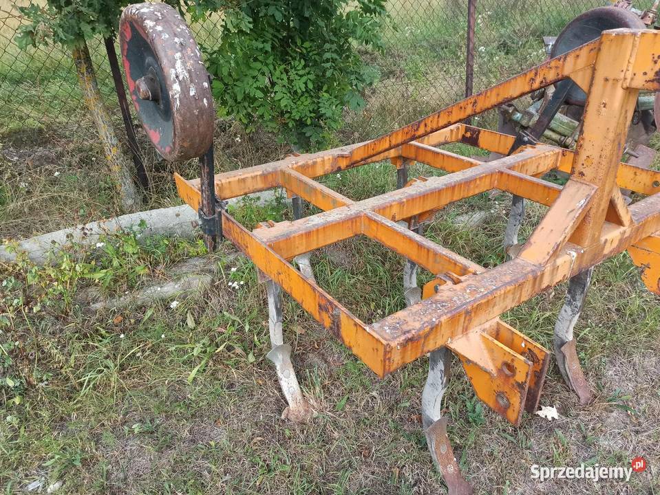 Gruber Głębosz 7 łap Tuczna