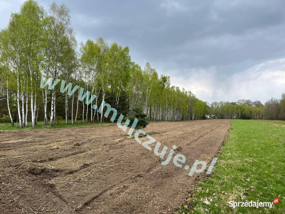 Mulczer wgłębny czyszczenie działek mulczowanie Myślenice