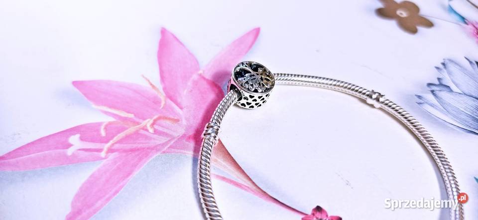 Bransoletka z gwiazdą Charms Korzenie Rodzinne Warszawa