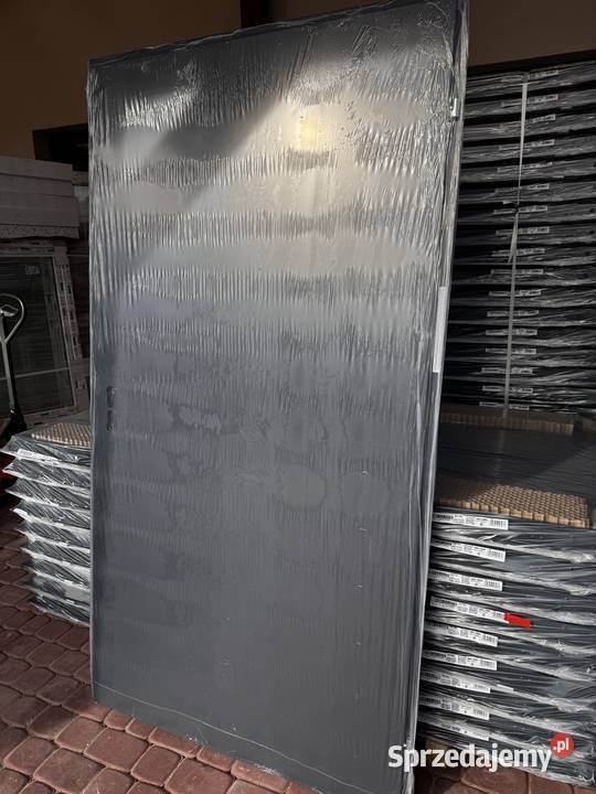 drzwi metalowe Hormann 100 LP grafitowe RAL 7016 Drzwi zewnętrzne