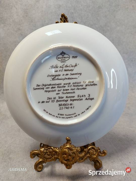 TIRSCHENREUTH PORCELANOWY KOLEKCJONERSKI TALERZ Dobrzany