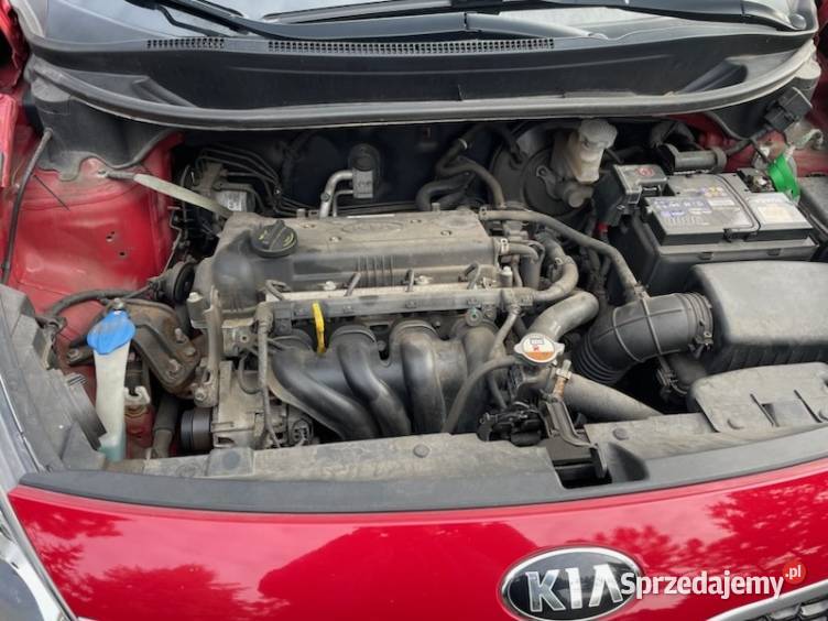 KIA Rio super stan Ful wersja podgrzewane fotele Żary