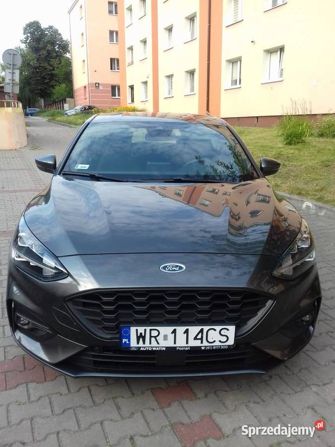 Ford Focus Mk4 10 EcoBoost 125 M6 STLine 5D nieuszkodzony mazowieckie