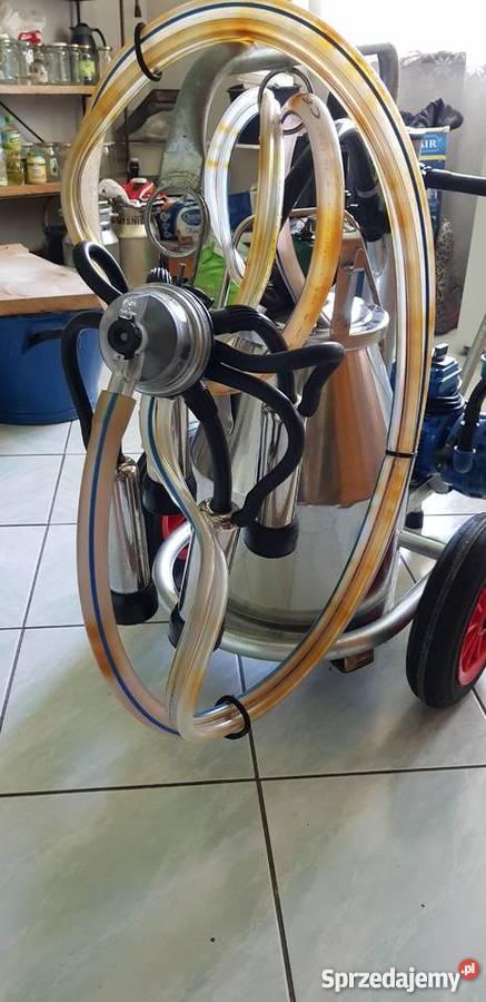 Dojarka Bańkowa Wiśniowa sprzedam