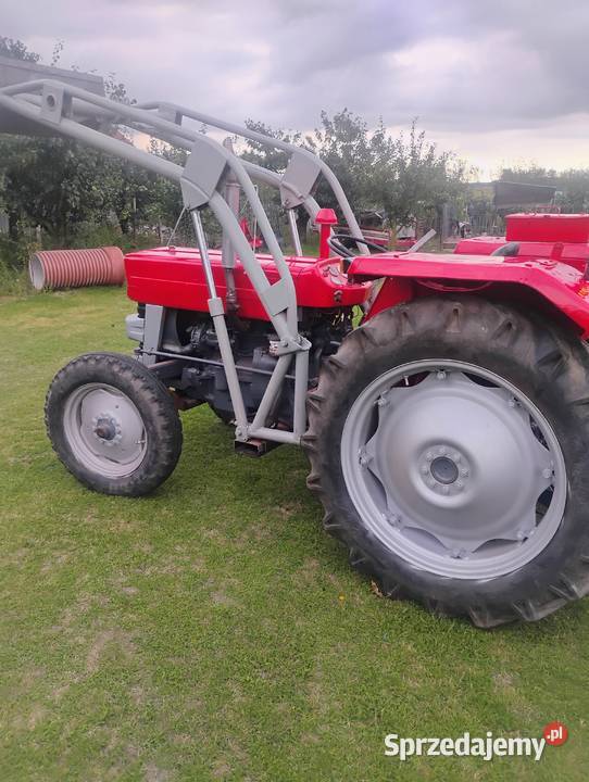 Sprzedam MF 135 Sienno