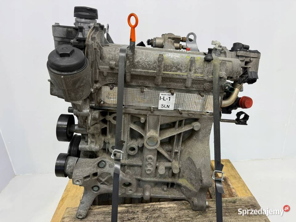 SILNIK BLN VW Golf V Plus 14 FSI 90 benzyna osobowe Chełm