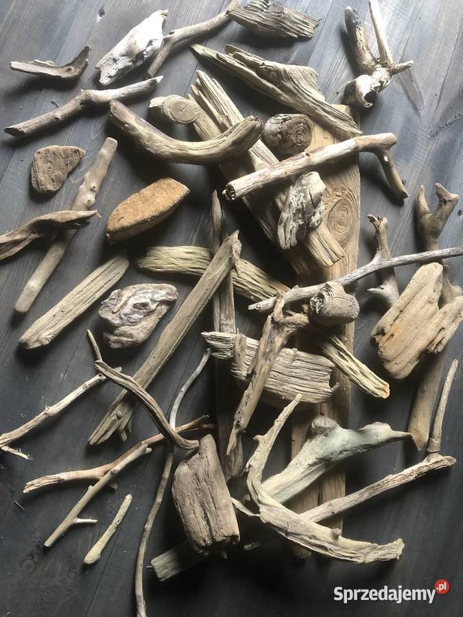 Driftwood drewno akwarystyczne mazowieckie Ciepielów sprzedam