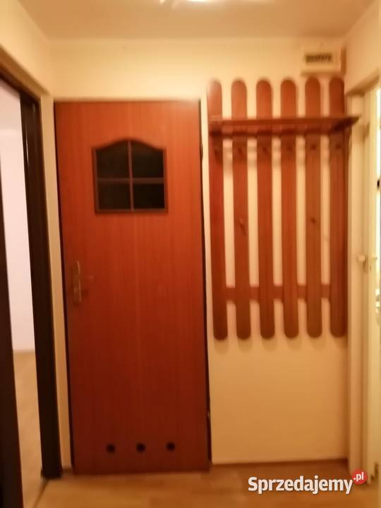 Domek 40m2 wolnostojący na wynajem 40m2