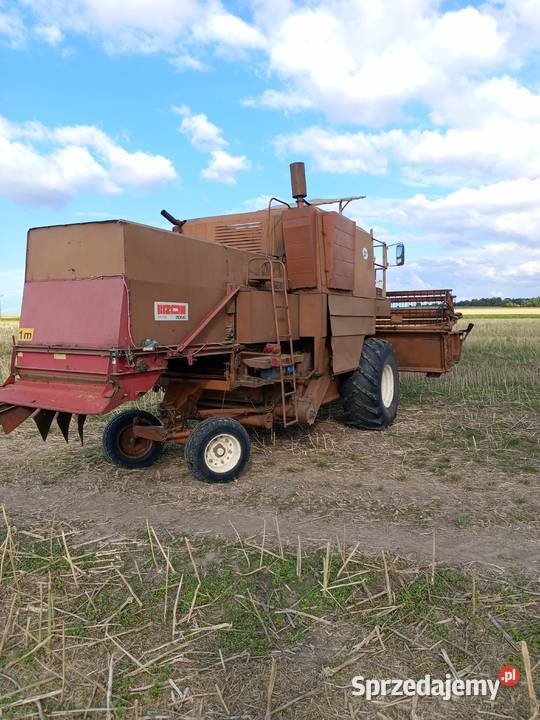 Bizon super zo56 kombajn rekord Wojsławice