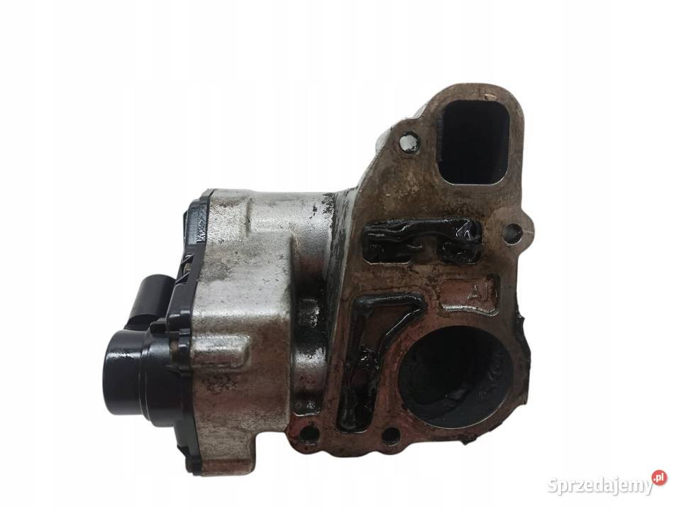 ZAWÓR EGR 5WK 9186 24404025 22 D Opel Signum I Recyrkulacja spalin EGR sprzedam