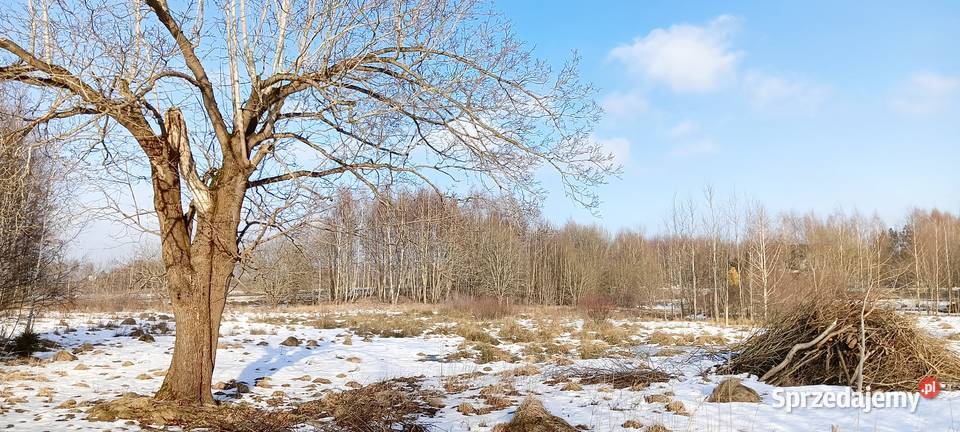 Działka z potencjałem w Kowalewie k Szemudu Sprzedaż pomorskie Wejherowo