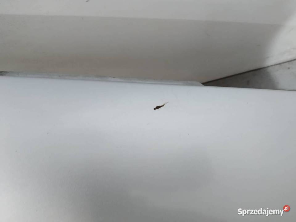 BŁOTNIK PRAWY PRZÓD TOLEDO II LS7N Seat Leon I