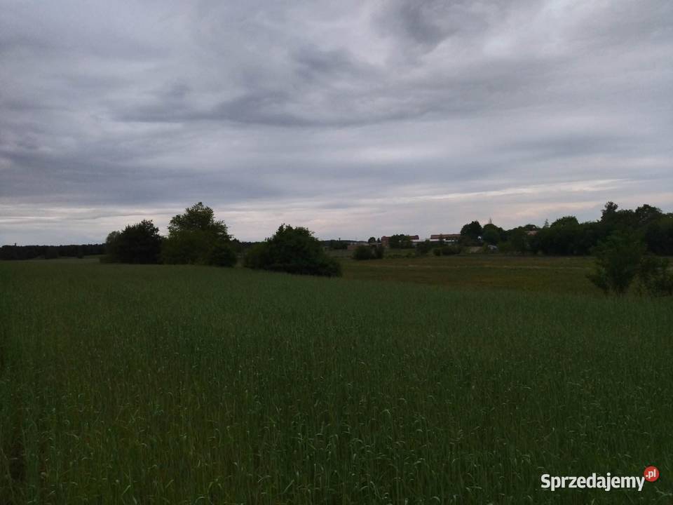 Działka budowlana dostępem do drogi Świerczyna