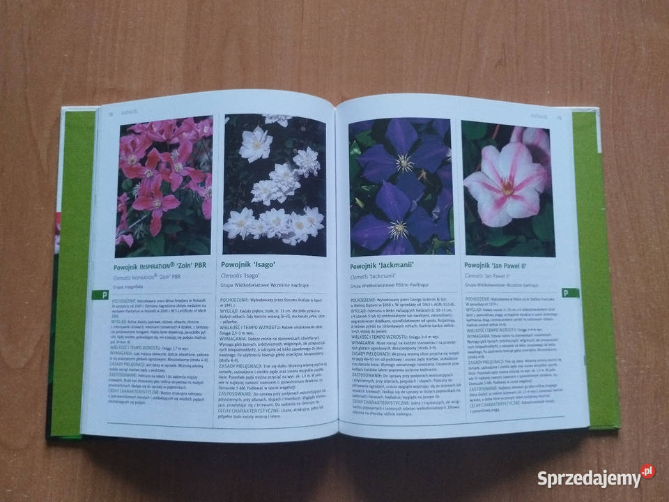 Książka Katalog Pnącza 234 gatunki i odmiany śląskie Katowice