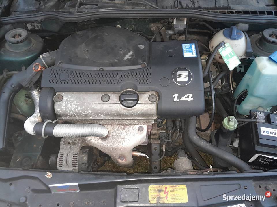 Seat Ibiza w całości na części