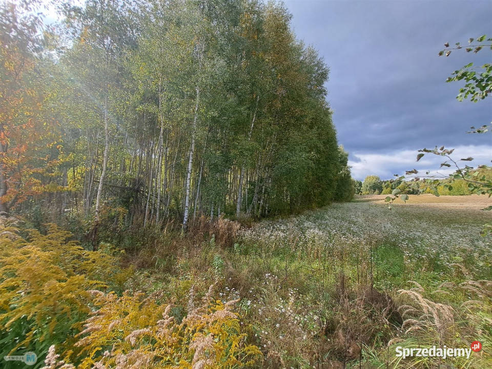Grunt 8879m2 Łagów
