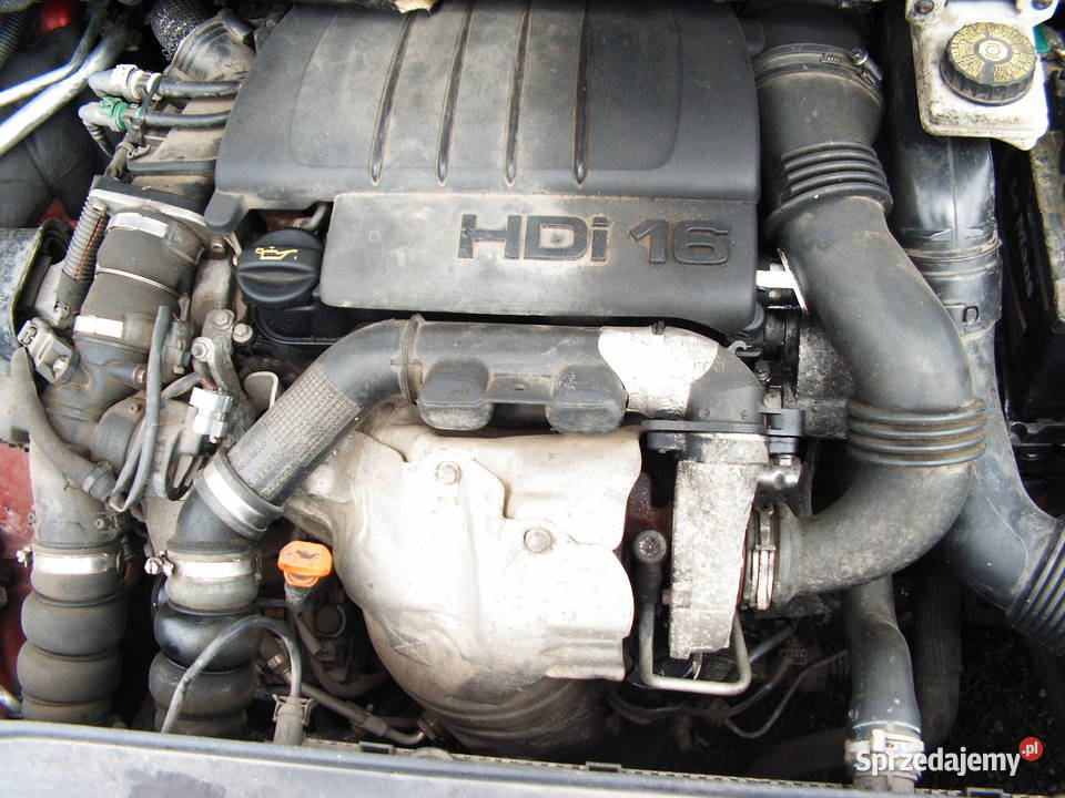 Peugeot 308 16 HDi 2009 r Września sprzedam