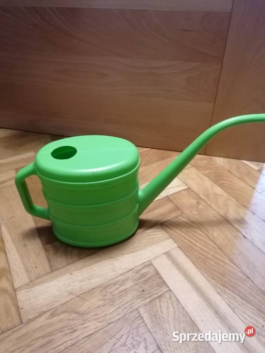 Konewka zielona Gdańsk