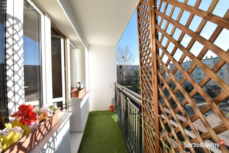 Sprzedaż mieszkania Bydgoszcz Jeremiego Przybory