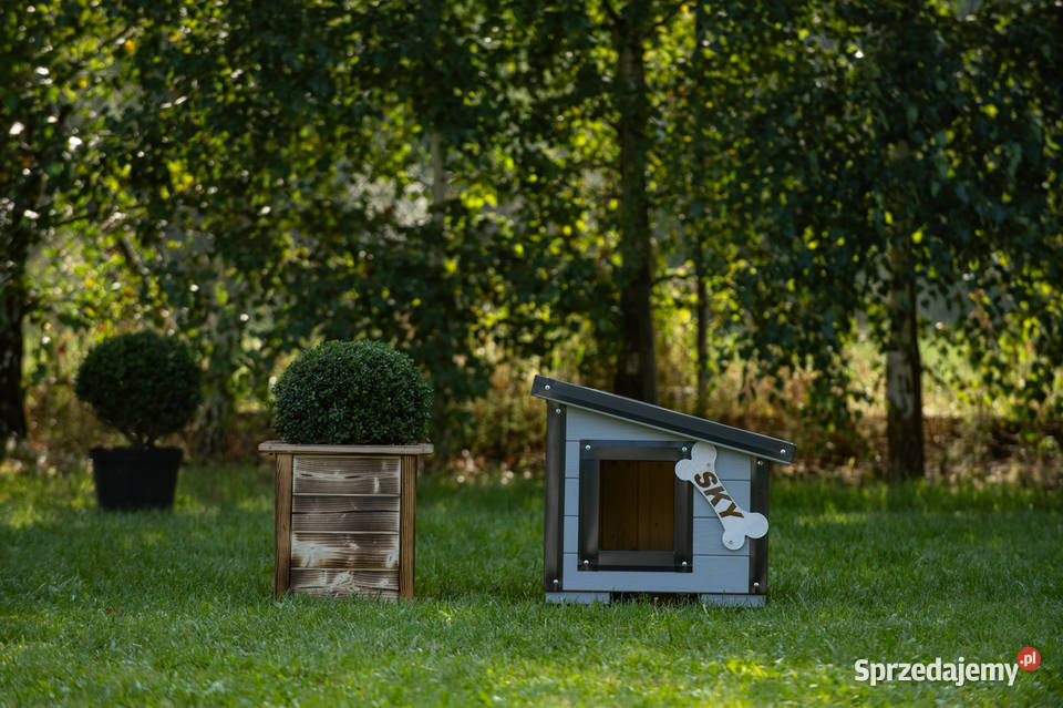 Buda psa WZMACNIANA do kojca hodowli dowóz świętokrzyskie Stopnica