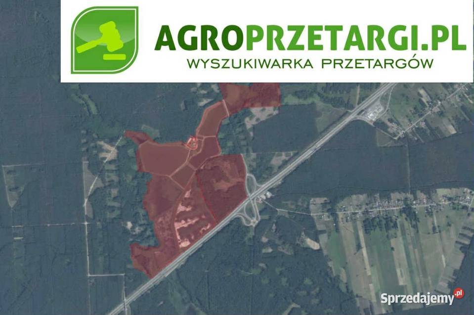 Dzierżawa 8653 ha stawów