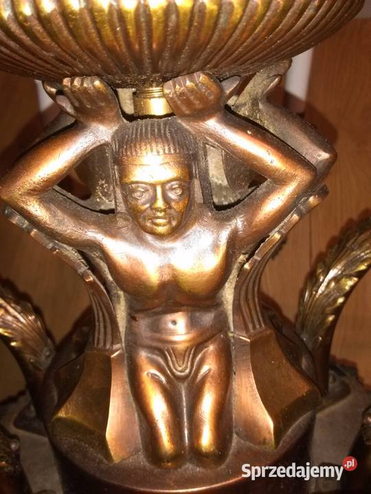 Wioślarz Mechaniczny śląskie