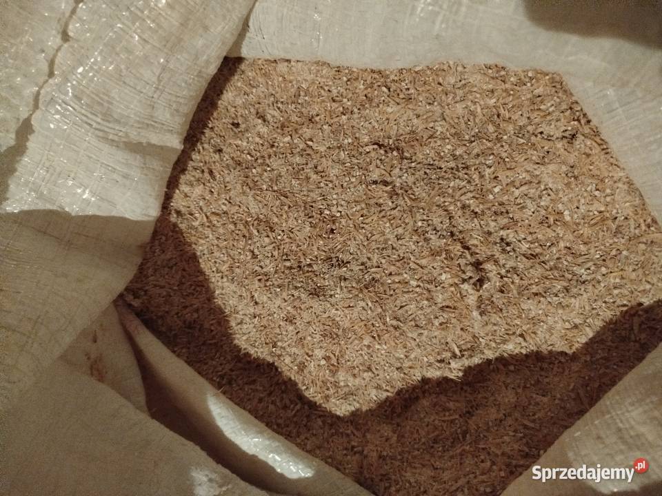 OWIESŚRUTA 2025 Przysietnica