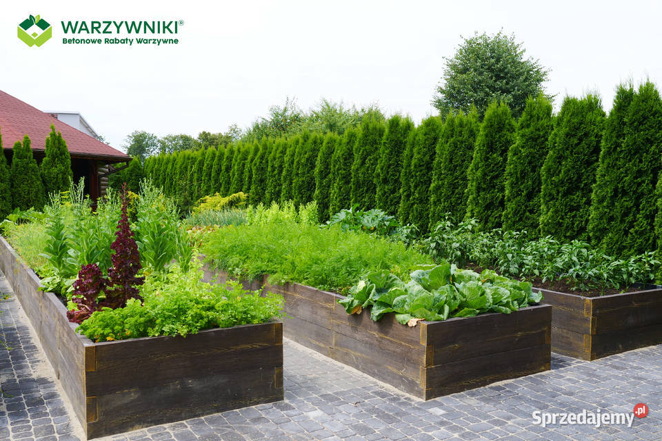 Warzywnik betonowy Skrzynia na warzywa Rabata Łódź sprzedam