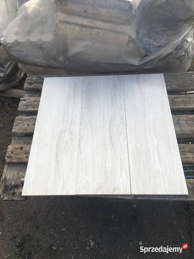 Glazura płytka ścienna elia crema 25x75 firmy Reguły