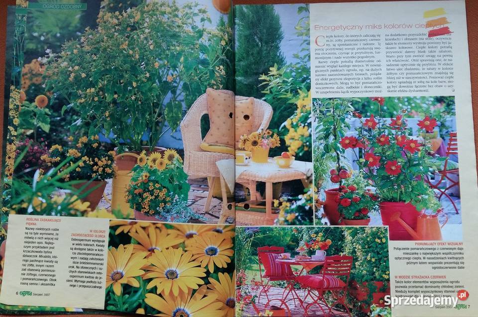 Mój piękny ogród czasopismopraktyczny magazyn Pozostałe łódzkie Łódź