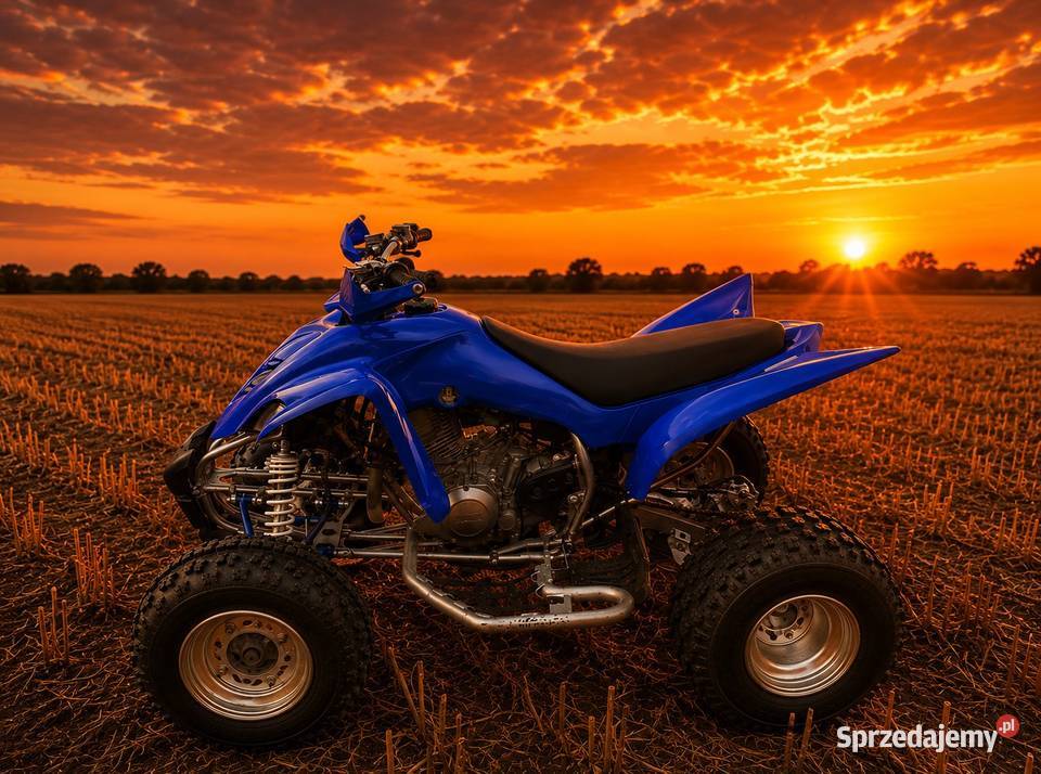 Yamaha Raptor 350 mazowieckie Wielgie