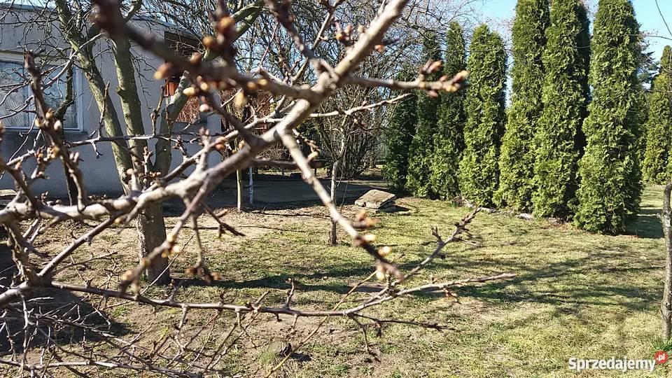 Sprzedam ogródek działkowy Szamotuły sprzedam